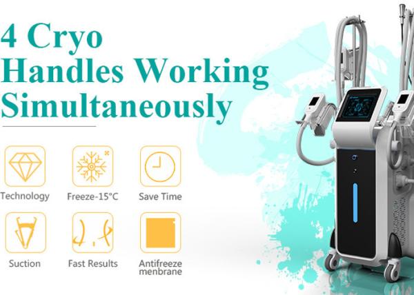 China top manufacturer Beijing Nubway whole body Slimming fat freeze cryolipolys