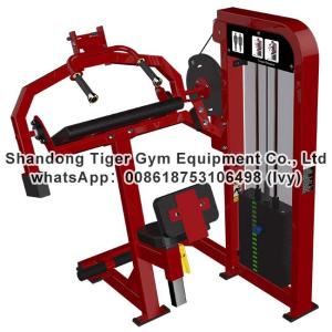 China Single Station Gym fitness equipment machine Triceps Extension exercise machine factory
