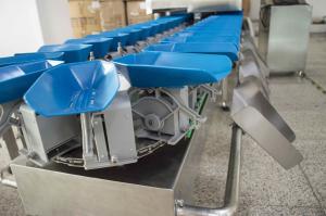 China IP65 500g Checking Tray Fruit Sorting Machine For Sticky Poultry factory