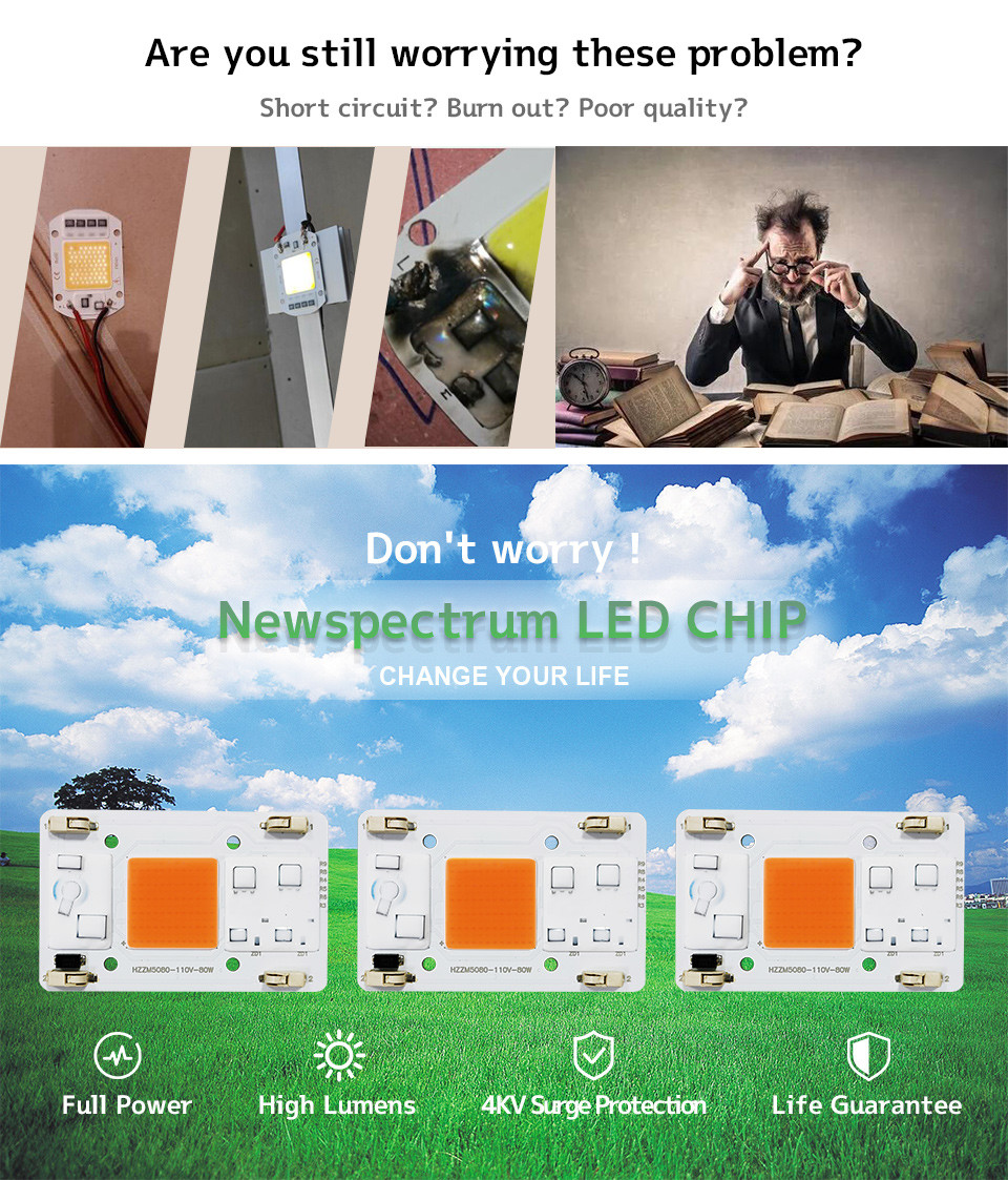 Solderless Led Lamp Beads AC COB 80W Integrated Projection Light Chip
