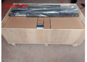 China Customized Small Pin eyes 700 mm Stroke Double Acting Hydraulic Cylinder factory
