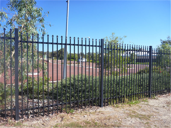 Black powder coated spear top galvanised tubular metal fence