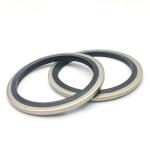 Metric Imperial Dowty Washer Metal Bonded Nitrile NBR Imperial Bonded Washer