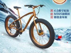 China Li-Ion Battery Powered Kids 26 29 Inch Electric Mountain Bike factory