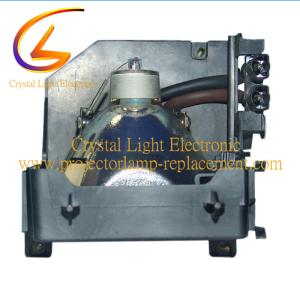China Sony LMP H202 Projector Lamp Replacement HW30ES 200W factory
