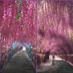 China 75cm 110cm Silk Green Plants Artificial Witseria Flower Hanging Ceiling factory