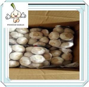 China Jinxiang County New Garlic 2016 Jinxiang fresh normal white garlic 5.0 up factory
