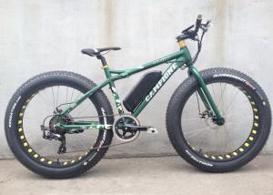 China 500w Electric Assist Fat Bike Lithium Battery 48V 10.4 AH Brushless Motor factory