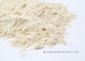 China Healthy Purity Vital Wheat Gluten Powder ISO HACCP KOSHER Approval factory