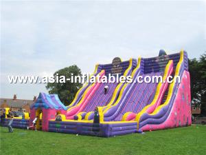 China Giant Inflatable Slide For Kids School Amusement Games factory