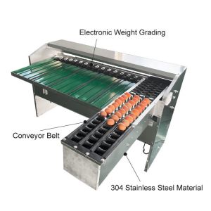 China Automatic Egg Sort Grade Weighing And Sorting Egg Machine Egg Grading Process Line Scale Grader Mini Sorter Egg Machine Commercial Egg Sorting Machine factory