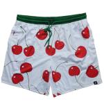 High Quality Custom Name Logo Men Beach Shorts 5in Inseam Nylon Running Mesh