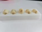 HT LT Dental Glass Ceramics 5 Pcs Lithium Disilicate Press Ingot 320Mpa