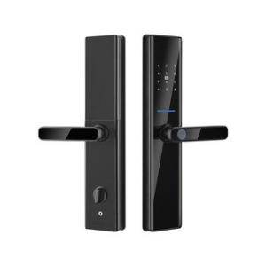 China Black Biometric Fingerprint Door Locks Tuya TTlock Electronic Digital Door Locks factory