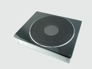 China Class AB Powerful Car Subwoofers 300 Watt , 10 Inch Active Subwoofer factory