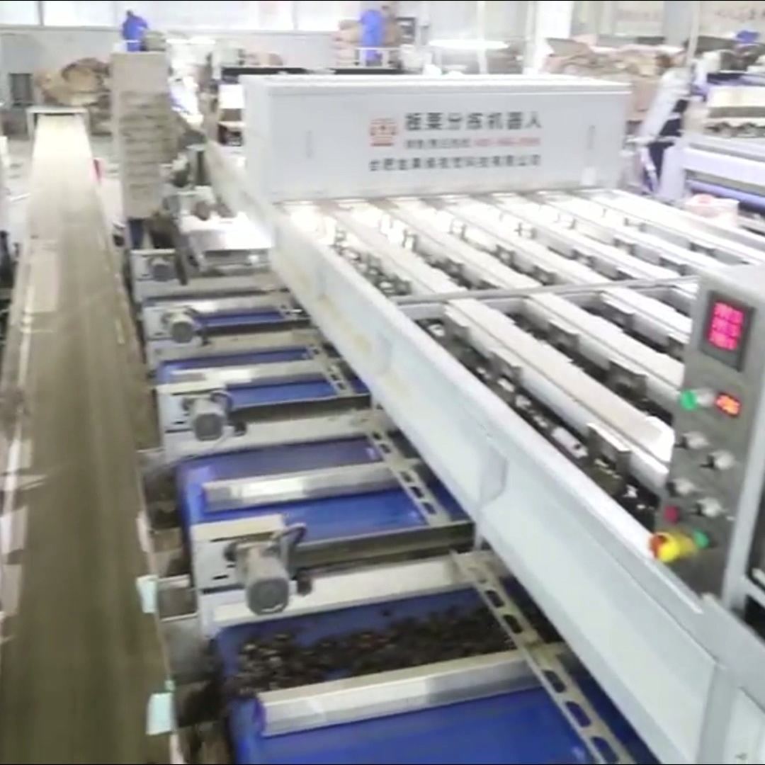 China 304 Stainless Steel Deep-learning Chestnut Sorting Machine: Robust, Durable, Continuous Learning factory