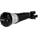 Front Right Air Strut Air Suspension Systems For Mercedes Benz S Class W220