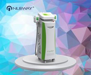 China hot sale body slimming machine double heads cryolipolysis body slimming factory