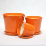 Beauty And Functionality Of Ceramic Pots For Any Plant Shop Small Size