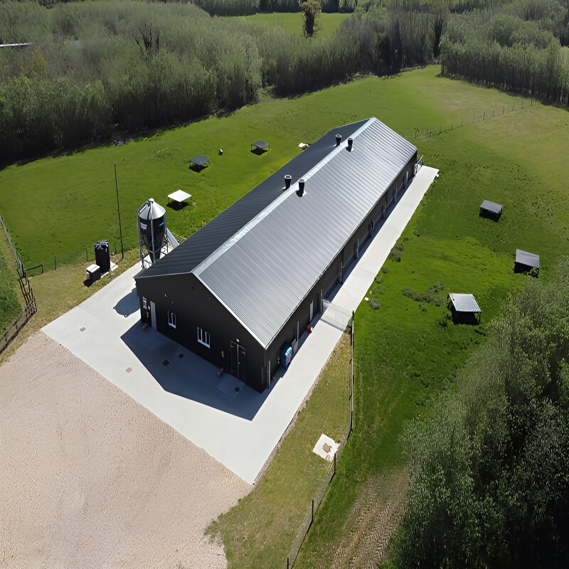Solid H Shape Beam Poultry Farm Structure Lightweight Steel Frame House Anti