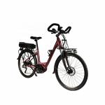 48V 20.4Ah Mid Drive Electric Bike 700C Hydraulic Disc Brake Bicycle With
