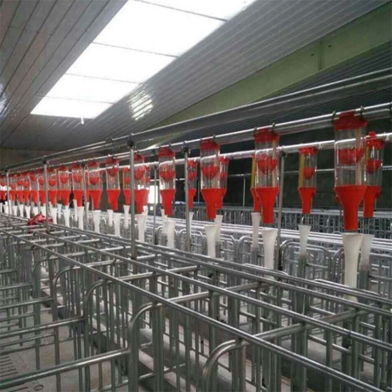 Feed Dispenser Livestock Feeding Equipment 6L 8L Automatic Feeder For Pigs