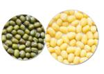 Peeled Green Mung Beans Natural Agricultural Products Healithy For Cake
