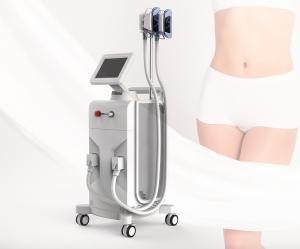 China Cryolipolysis Slimming Laser Beauty Machine Vacuum Cryo For Body Slimming factory