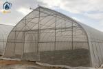 Oval Tube Film Multi Span Greenhouse Arched Commercial Greenhouse Frame