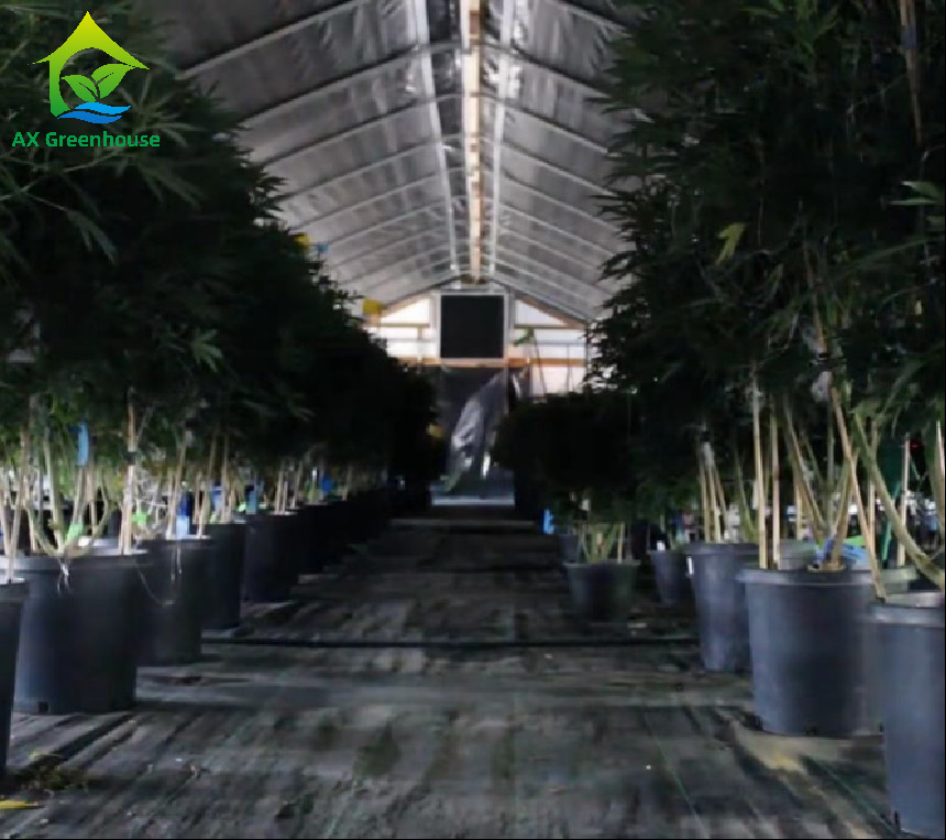 Auto Blackout Greenhouse Exterior Light Deprivation Greenhouse Film Rolling Greenhouse