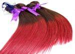 Ombre Color Hair Extensions