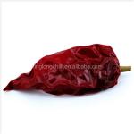 GMP Dried Red Chilli Peppers 2CM Dehydrated Lantern Pepper 2 Year Shelf Life