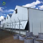 Single Span Black Out Greenhouse Light Deprivation Single Arch Tunnel Greenhouse