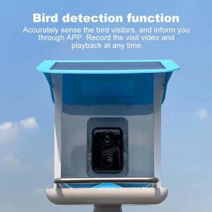 China Outdoor Smart Bird Feeder Camera Quadrate Shape With Solar Panel factory
