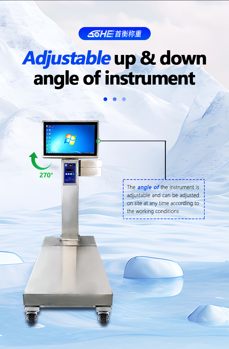 400*500mm Industrial Scale with 200kg Weight Capacity and Stainless Steel Platform