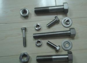 China urea stainless 1.4466 bolt nut washer factory