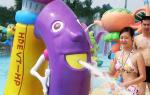 Customized Fiberglass Spray Park Equipment, Spray Cat Water Sprayground For Kids