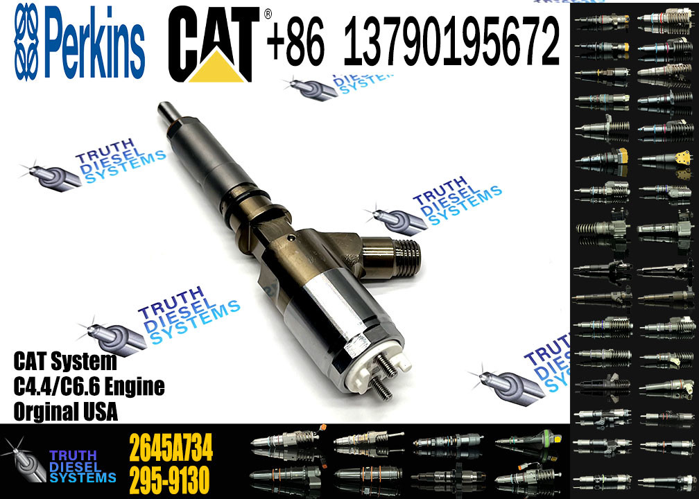 Fuel Injector Nozzle 2645A749 2645A747 10R-7671 10R-7672 2645A718 10R-7673 10R-7676 2645A734