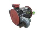 Brushless Permanent Magnet Generator , Water Turbine Wind Turbine Generator