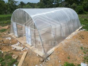 China Temperature-Controlled Drying Greenhouse with PC Board for Vegetables, Herbs, and More factory