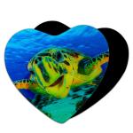 3D Magnets Sealifes Dolphin Shark Turtle Lenticular Printing Card For Gifts