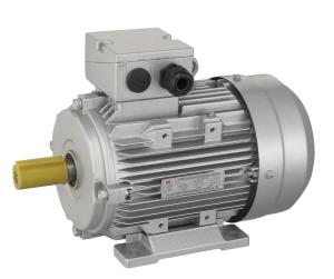 China 370w/0.5HP 3 Phase Induction Motor For Electric Vehicle 3 Phase Asynchronous Motor factory
