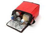 Custom Logo Waterproof Lunch Containers Red Adult Insulated Cooler Tote Bags