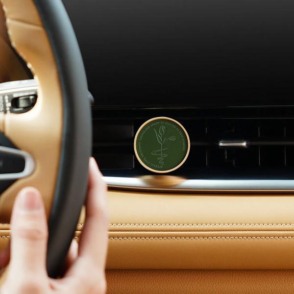 China Car Aromatherapy Pine Tree Coconut Car Air Freshener Spray factory