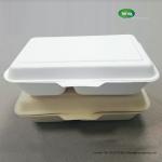 2- Compartments Meal Prep Bento Boxes Sugarcane Bagasse Take Out Microwavable