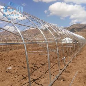 Single-span PE Covered Tunnel Plastic Greenhouse For Strawberry Grape Raspberry