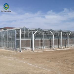 China Large Size Generator Plastic Sheet Greenhouse With Project Commercial Hydroponic Systems factory