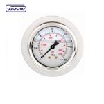 China custom OEM stainless steel hydraulic oil safe gauge pressure gauge,oil