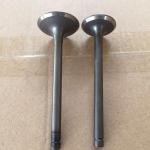 Automobile Parts 6DS Intake And Exhaust Valve For Mitsubishi 20801-00100 30804