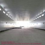 Mobile Chicken House Steel Structure Poultry Shed Workshop Building Customize